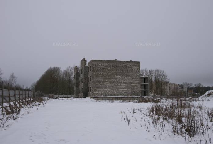 ЖК «Дом в деревне Сяськелево» (февраль 2017)