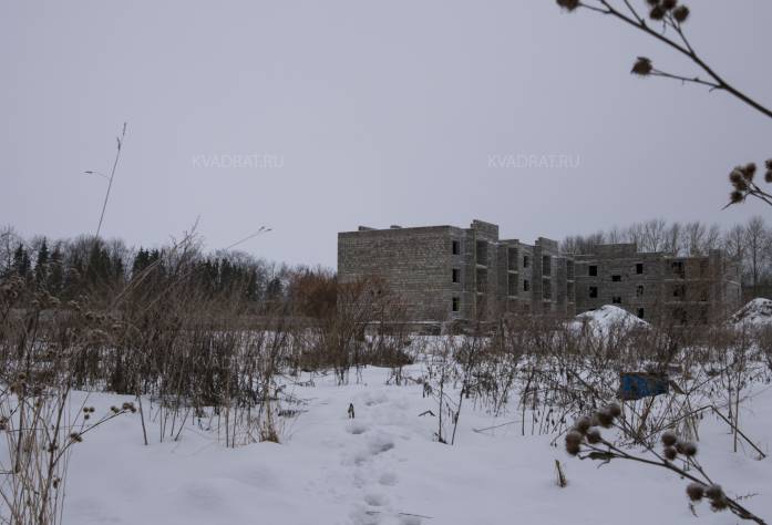 ЖК «Дом в деревне Сяськелево» (февраль 2017)
